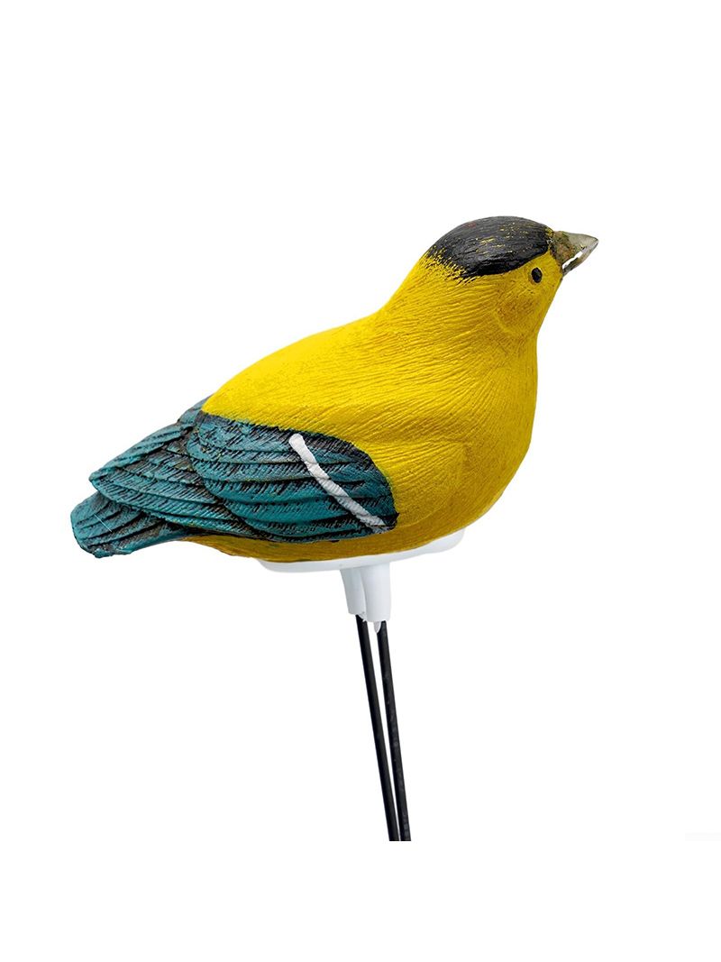 Индикатор Полива Комнатных Растений