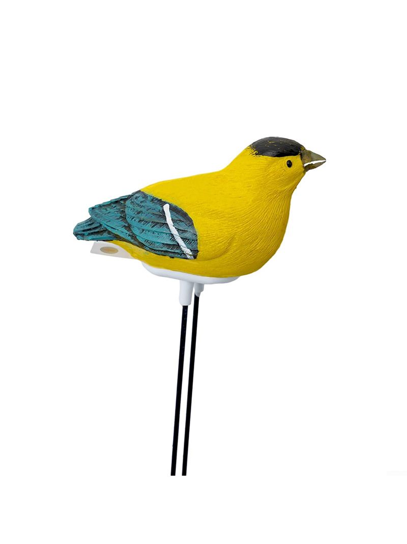 Индикатор Полива Комнатных Растений