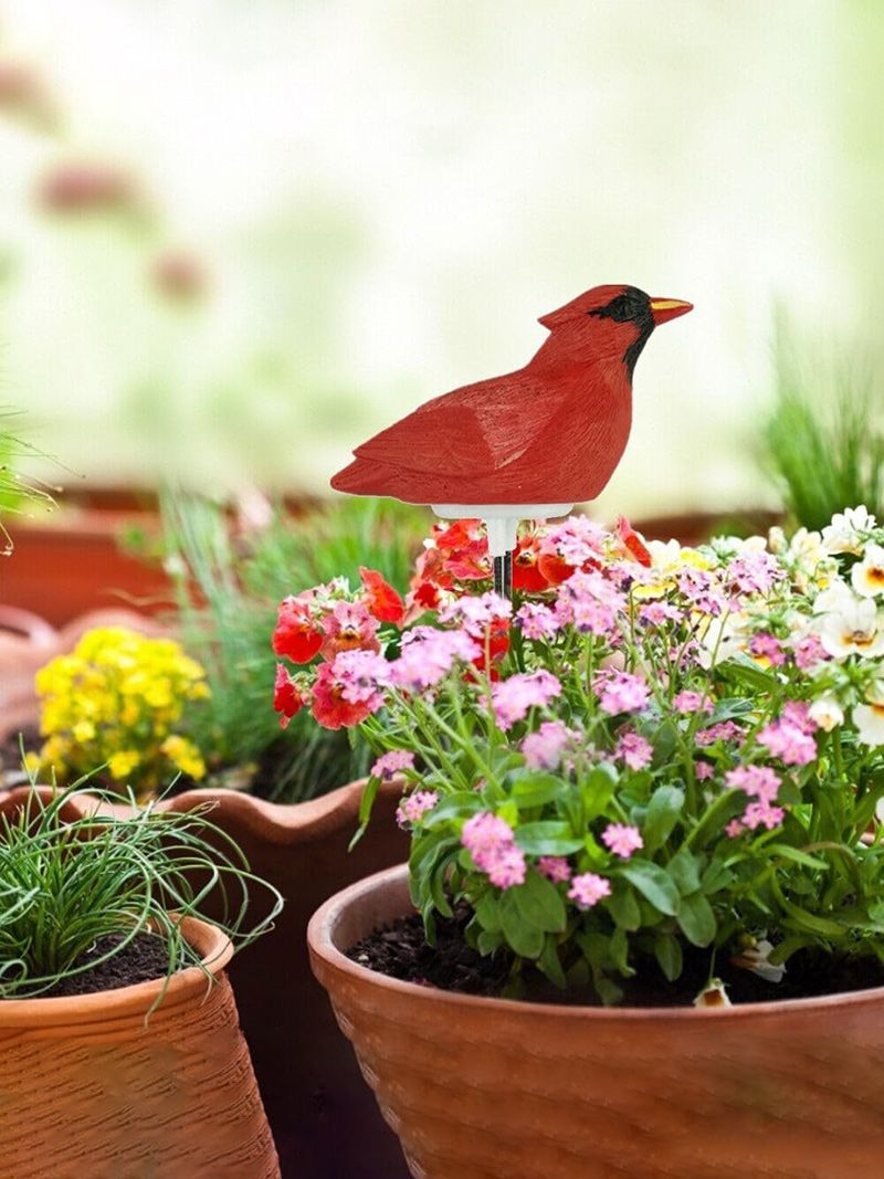 Индикатор Полива Комнатных Растений