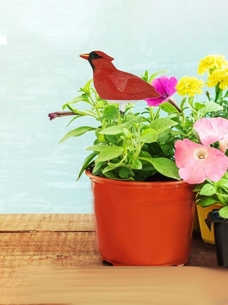 Индикатор Полива Комнатных Растений