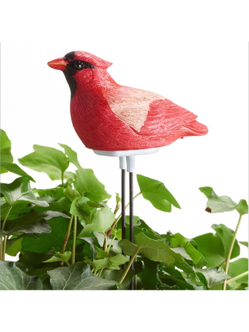 Индикатор Полива Комнатных Растений