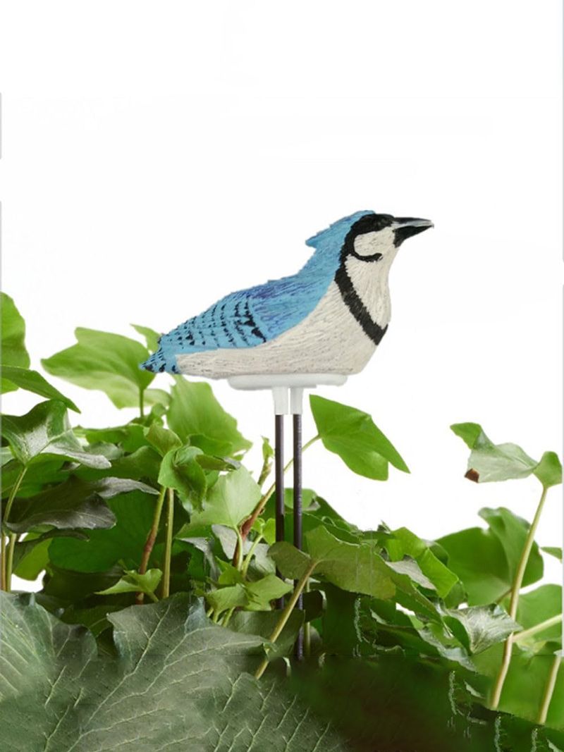 Индикатор Полива Комнатных Растений