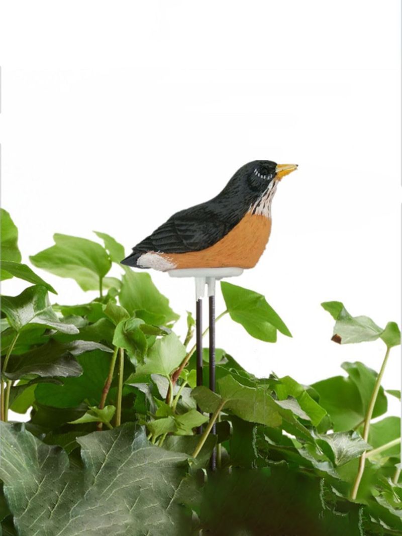 Индикатор Полива Комнатных Растений