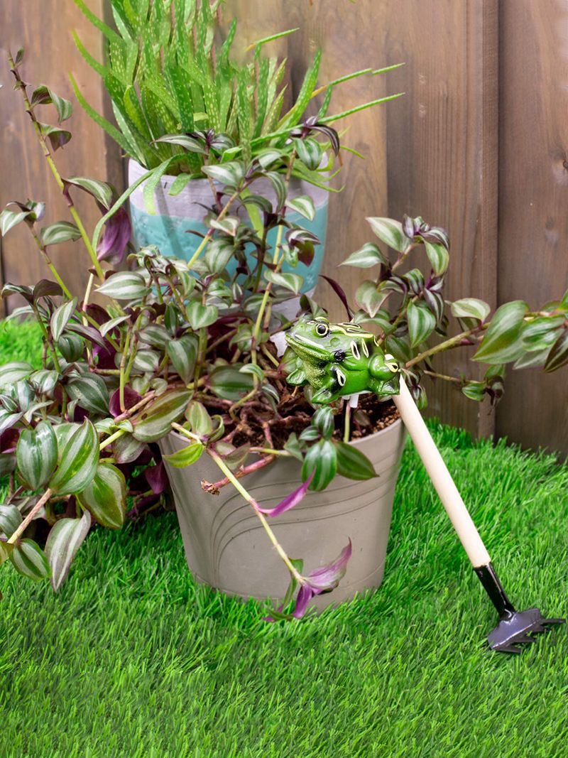 Индикатор Полива Комнатных Растений