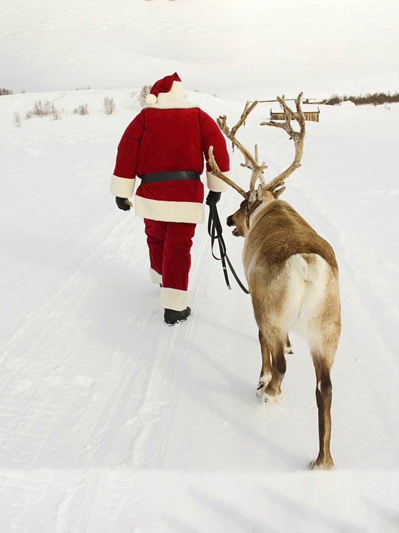 Костюм Деда Мороза Взрослый