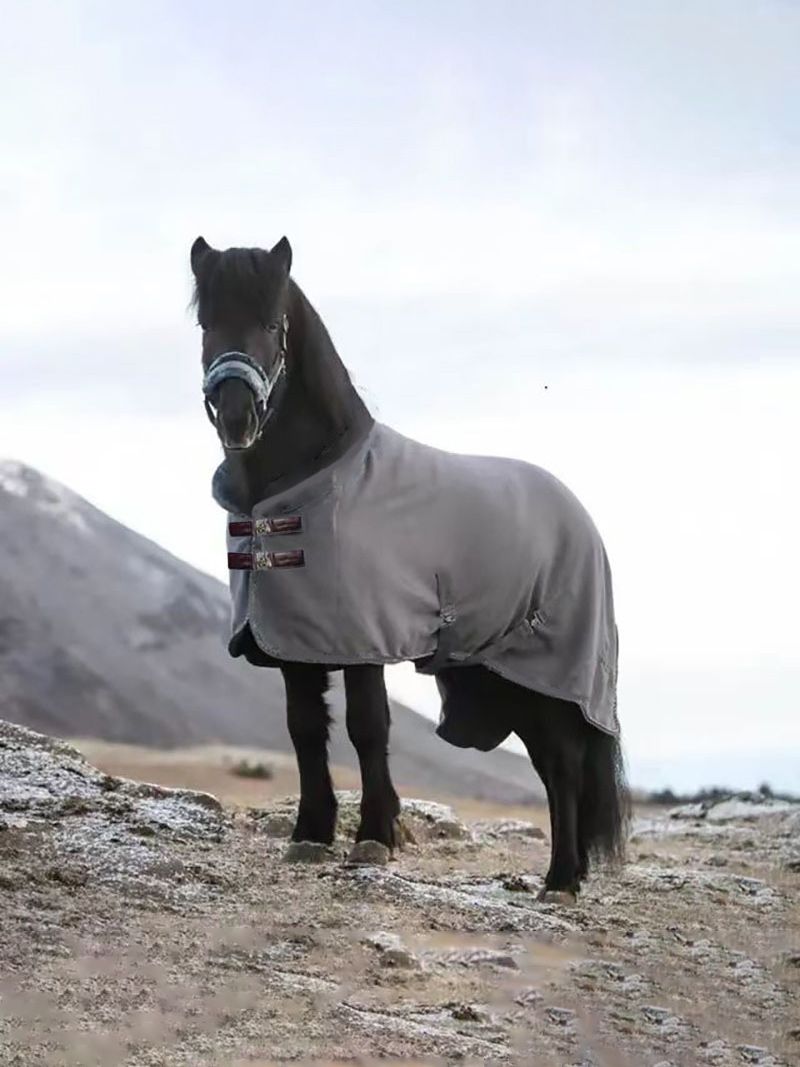 Попона Для Лошади